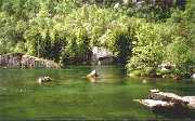 Gr�nes Wasser